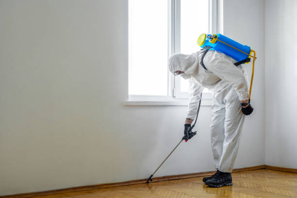 Pest Prevention Services in Thousand Palms, CA