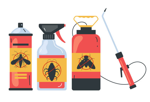 Wasp Removal Services in Thousand Palms, CA