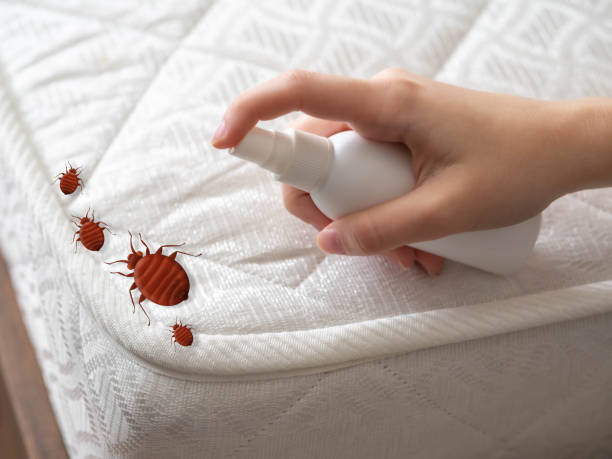 Best Pest Control Near Me in Thousand Palms, CA